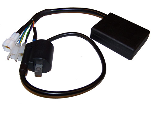 Programmable Plug&Play CDI ignition kit for Rotax Max