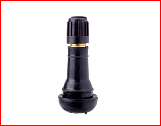 Big tubeless valve